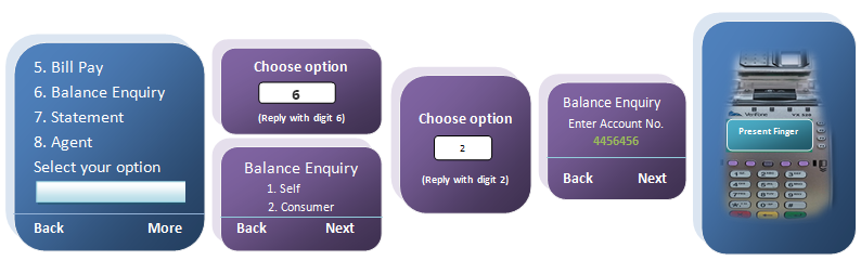 balance enquiry 2